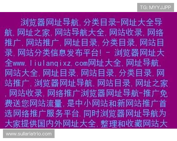 优质PA网站入口平台推荐及详细访问流程全方位指导